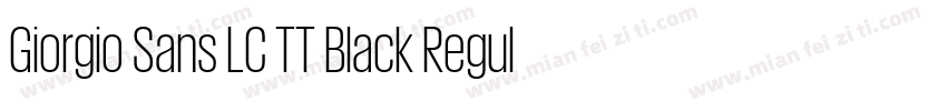 Giorgio Sans LC TT Black Regular字体转换